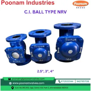 CI Ball Type NRV Flanged